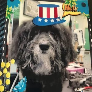 Meet your Posher, Brad